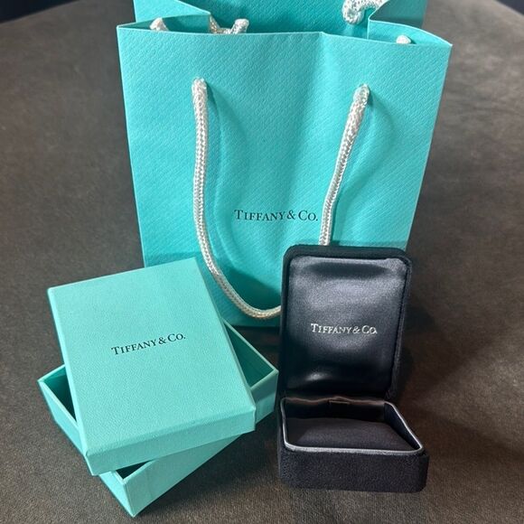 Tiffany & Co. Suede Necklace Jewelry Box Gift Box and Gift Bag Set - Picture 1 of 14